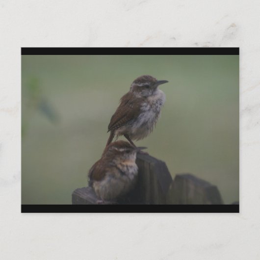 DSC07310 BRIEFKAART (Voorkant)