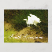 DSC08779bb, Zuid-Louisiana Briefkaart (Voorkant)