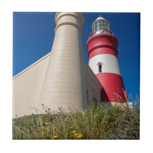 _DSC2418 TEGELTJE (Voorkant)