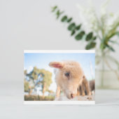 _DSC2491 BRIEFKAART (Staand voorkant)