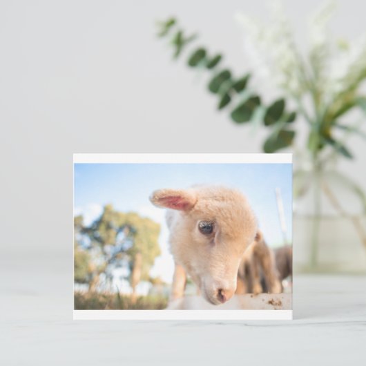 _DSC2491 BRIEFKAART (Staand voorkant)