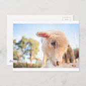 _DSC2491 BRIEFKAART (Voorkant / Achterkant)