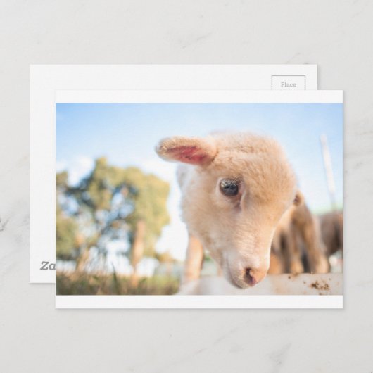 _DSC2491 BRIEFKAART (Voorkant / Achterkant)