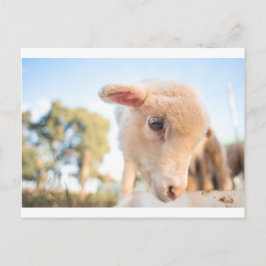 _DSC2491 BRIEFKAART