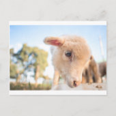 _DSC2491 BRIEFKAART (Voorkant)