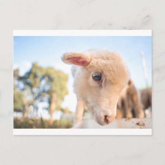 _DSC2491 BRIEFKAART (Voorkant)