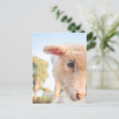 _DSC2491 BRIEFKAART (Staand voorkant)