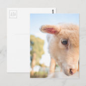 _DSC2491 BRIEFKAART (Voorkant / Achterkant)