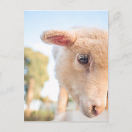 _DSC2491 BRIEFKAART (Voorkant)