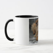 DSC_0014a, BRUSSEL, GRIFFON Mok (Links)