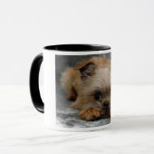 DSC_0014a, BRUSSEL, GRIFFON Mok (Voorkant links)