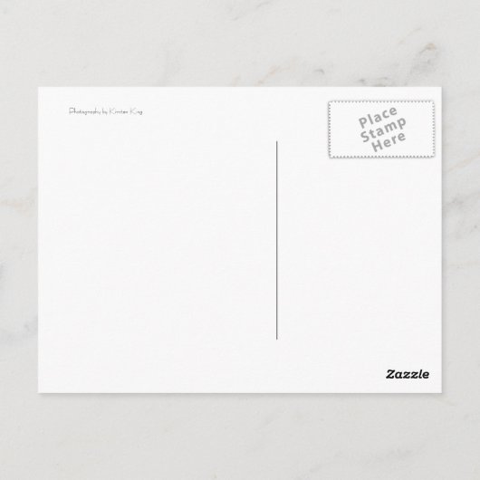 DSC_0217, St. Andrews Beach, hier afgebeeld, The.. Briefkaart (Achterkant)