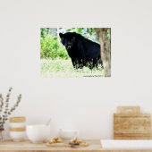 DSC_0235, fotografie door PAUL GAVIN Poster (Keuken)