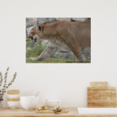 DSC_0254, fotografie door PAUL GAVIN Poster (Keuken)