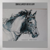 DSC_0462, Dieren. Leven. Art. CarolLakeStudio... Poster (Voorkant)