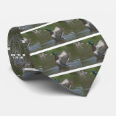 DSC_0504 STROPDAS (Opgerold)