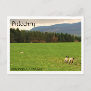 DSC_0522, Pitlochry, Fotografie van Kirsten King Briefkaart