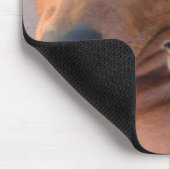 DSC_1359 MUISMAT (Hoek)