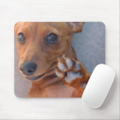 DSC_1359 MUISMAT (Met muis)