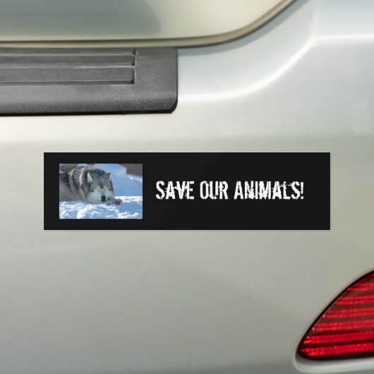 DSC_2055, sparen Onze Dieren! Bumpersticker (Op auto)