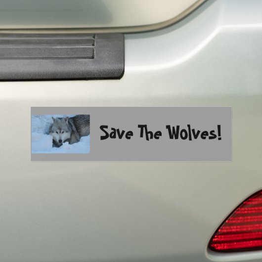 DSC_2225, sparen de Wolven! Bumpersticker (Op auto)