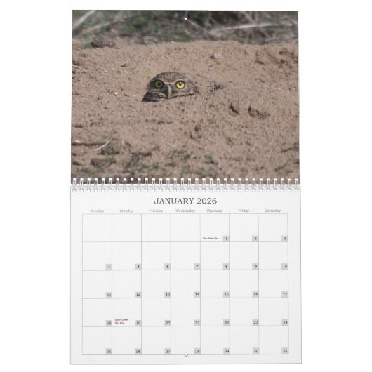 DSC_2816, 2011 KALENDER (Jan 2026)