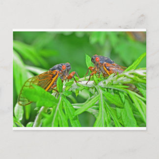 DSC_3480ps.jpg Briefkaart