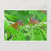 DSC_3480ps.jpg Briefkaart (Voorkant)