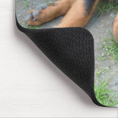 DSCF0140 MUISMAT (Hoek)