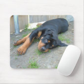 DSCF0140 MUISMAT (Met muis)