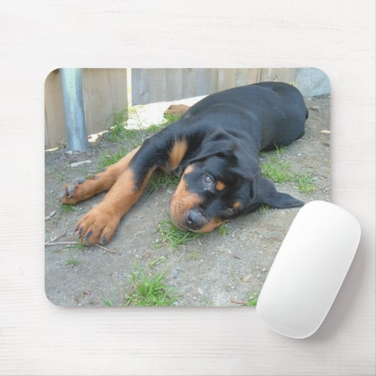 DSCF0140 MUISMAT (Met muis)