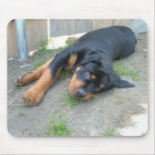 DSCF0140 MUISMAT (Voorkant)