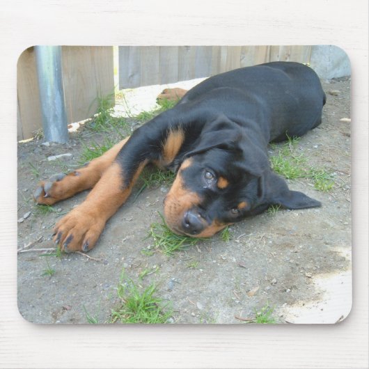 DSCF0140 MUISMAT (Voorkant)