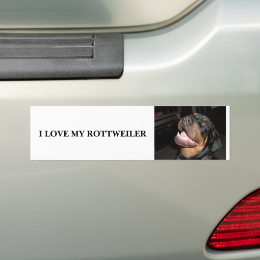 DSCF0313, IK HOU VAN MIJN ROTTWEILER BUMPERSTICKER (Op auto)