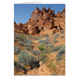 DSCF0344,~in uw woorden~