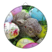 DSCF0438.JPG DARTBORD (Voorkant)