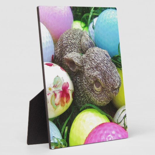 DSCF0438.JPG FOTOPLAAT (Zijkant)