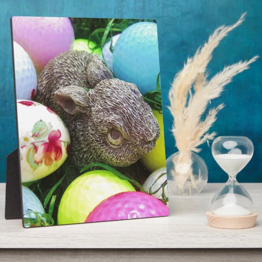 DSCF0438.JPG FOTOPLAAT (Zijkant)