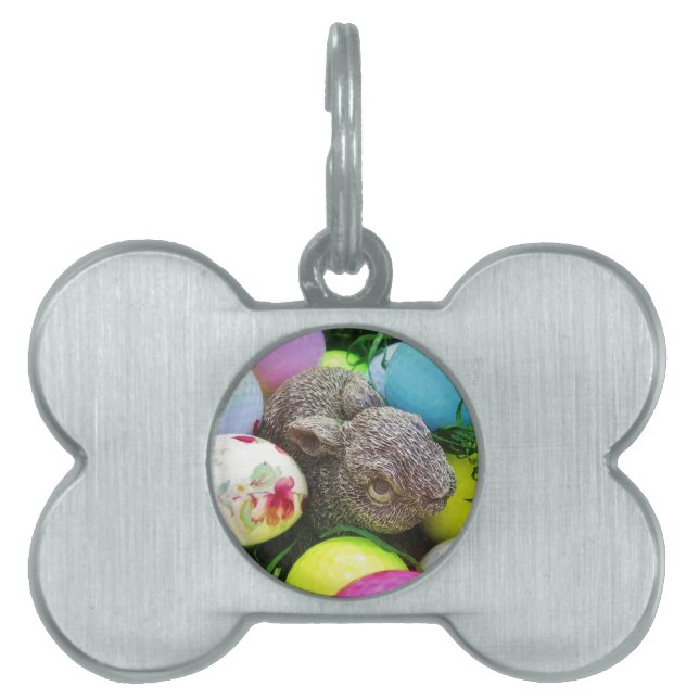 DSCF0438.JPG HUISDIEREN NAAMPLAATJE (voorkant)