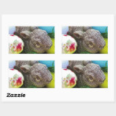 DSCF0438.JPG RECHTHOEKIGE STICKER (Vel)