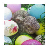 DSCF0438.JPG TEGELTJE (Voorkant)