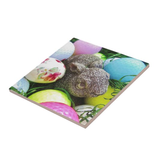 DSCF0438.JPG TEGELTJE (Zijkant)