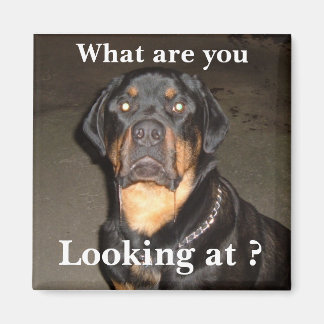 DSCF0490, waar kijk je naar? Magneet