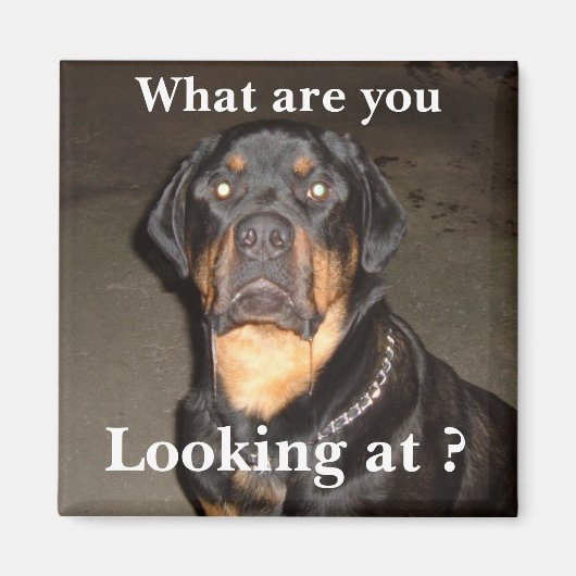 DSCF0490, waar kijk je naar? Magneet (Voorkant)