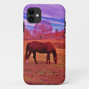 DSCF0536.JPG iPhone 11 HOESJE