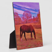 DSCF0536.JPG FOTOPLAAT (Zijkant)