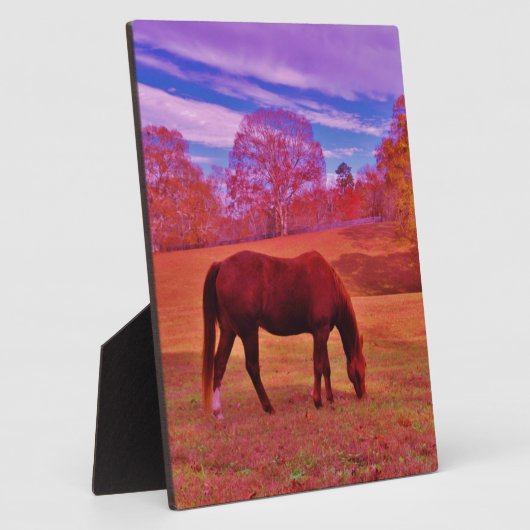 DSCF0536.JPG FOTOPLAAT (Zijkant)