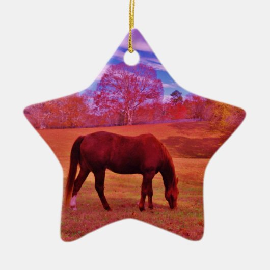 DSCF0536.JPG KERAMISCH ORNAMENT (Voorkant)