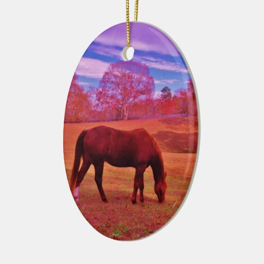 DSCF0536.JPG KERAMISCH ORNAMENT (Links)