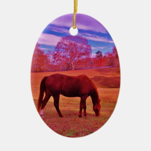 DSCF0536.JPG KERAMISCH ORNAMENT (Voorkant)